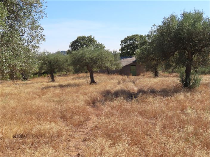 Image No.18-Propriété à vendre à Castelo Branco