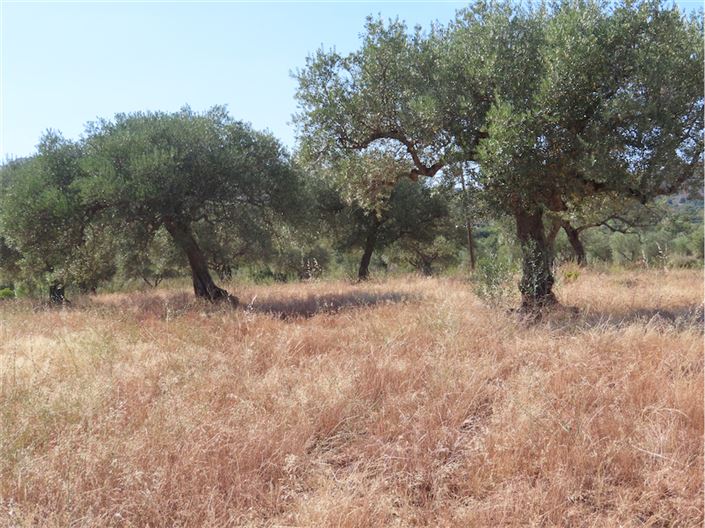 Image No.19-Propriété à vendre à Castelo Branco