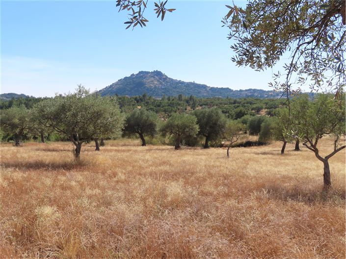 Image No.20-Propriété à vendre à Castelo Branco