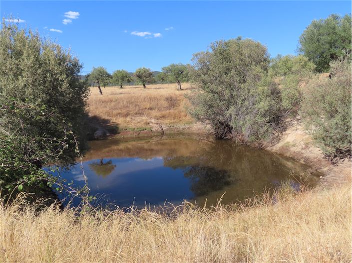 Image No.23-Propriété à vendre à Castelo Branco