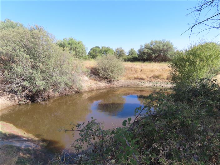 Image No.25-Propriété à vendre à Castelo Branco