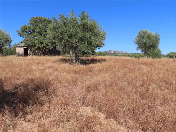 Image No.27-Propriété à vendre à Castelo Branco