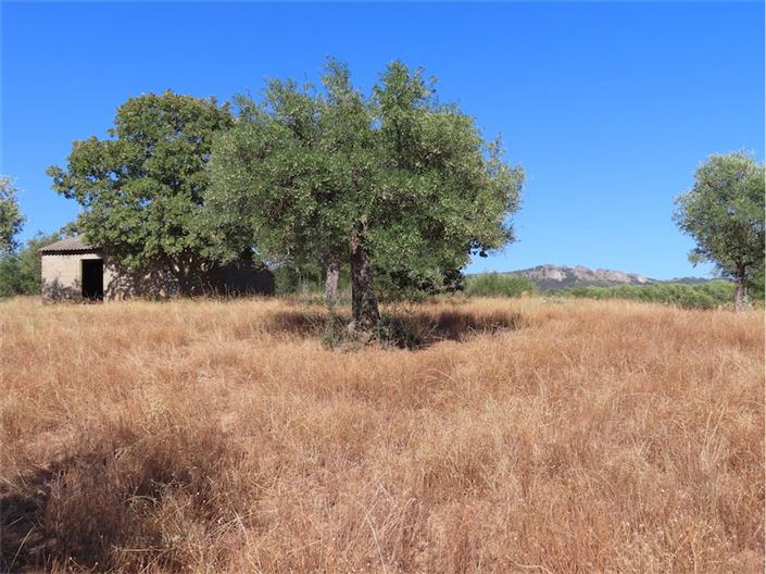 Image No.28-Propriété à vendre à Castelo Branco