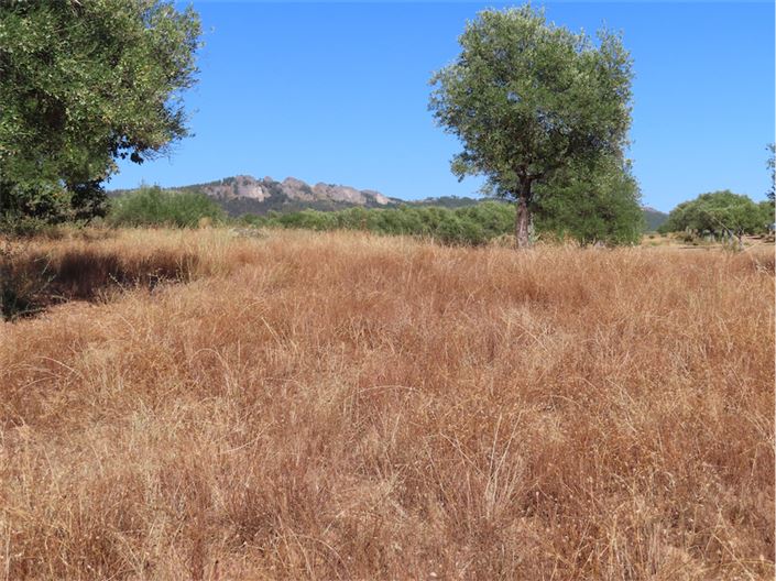 Image No.29-Propriété à vendre à Castelo Branco