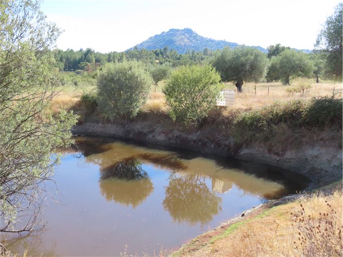 Image No.3-Propriété à vendre à Castelo Branco