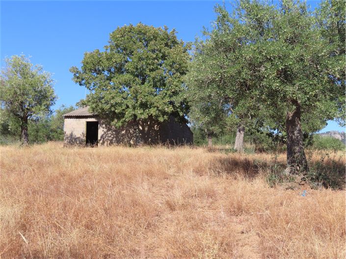 Image No.30-Propriété à vendre à Castelo Branco