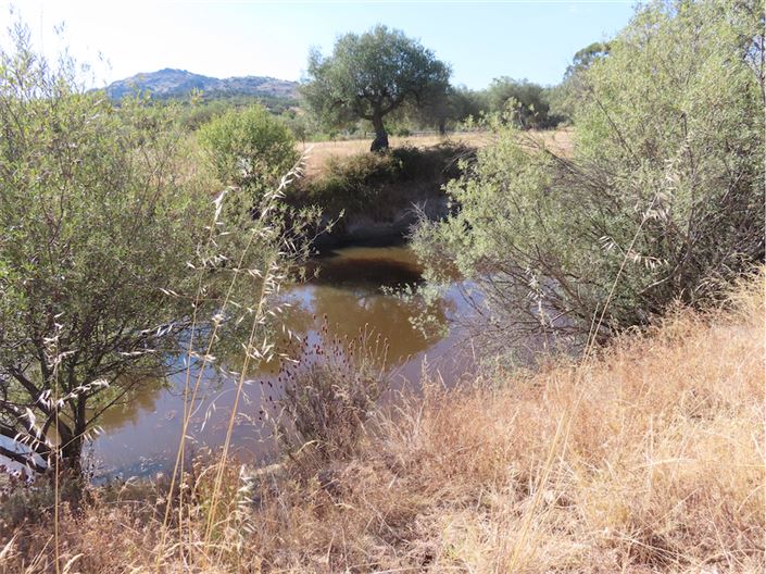 Image No.4-Propriété à vendre à Castelo Branco