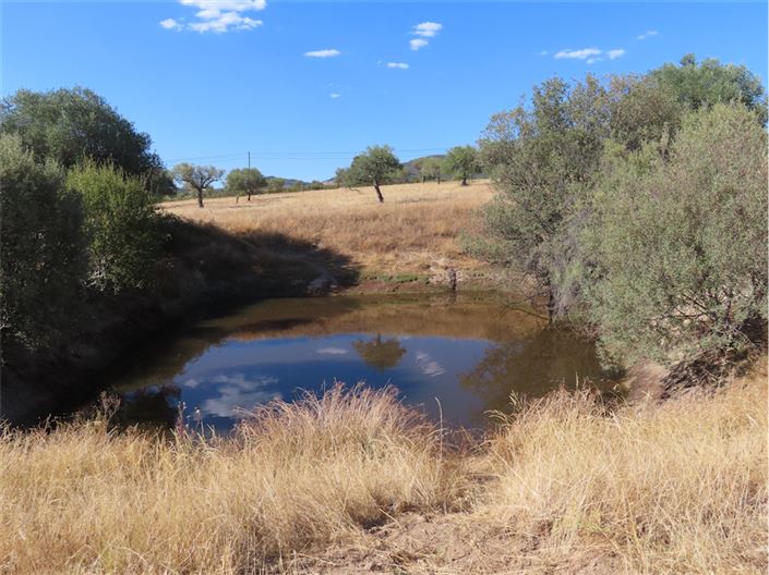 Image No.5-Propriété à vendre à Castelo Branco