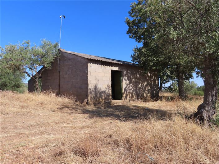 Image No.6-Propriété à vendre à Castelo Branco