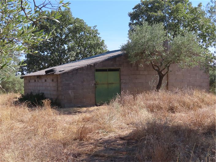 Image No.7-Propriété à vendre à Castelo Branco