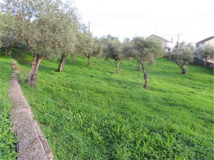 Image No.12-3 Bed Property for sale