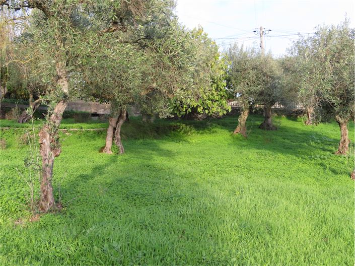 Image No.15-3 Bed Property for sale