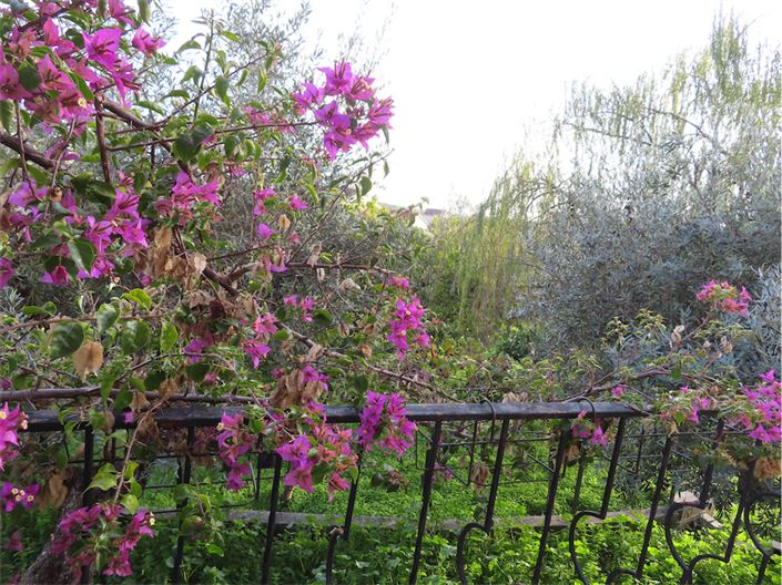 Image No.29-3 Bed Property for sale