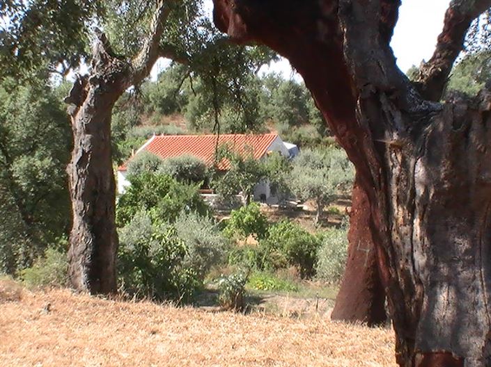 Image No.3-Property for sale