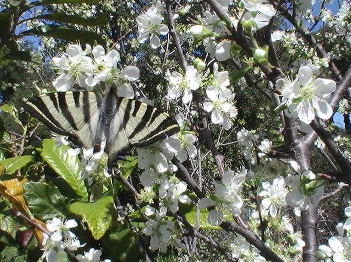 Image No.4-Property for sale