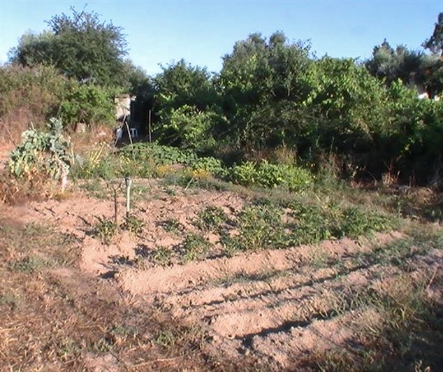 Image No.50-Property for sale