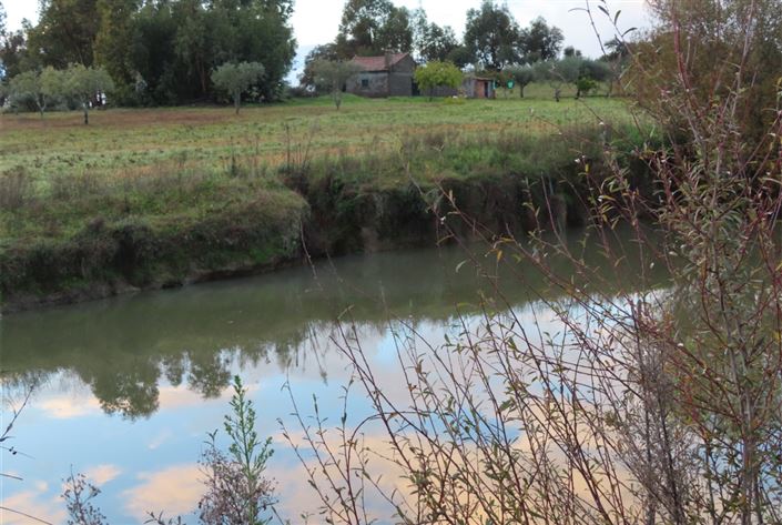 Image No.1-Property for sale
