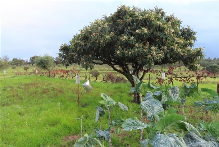 Image No.18-Property for sale