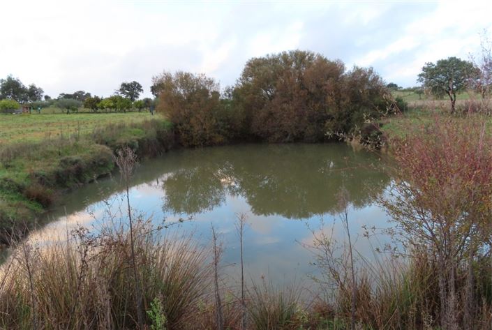 Image No.1-Property for sale
