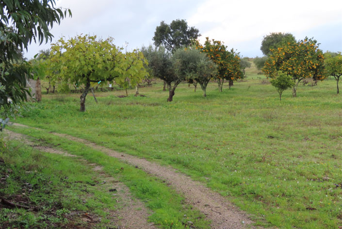 Image No.24-Property for sale