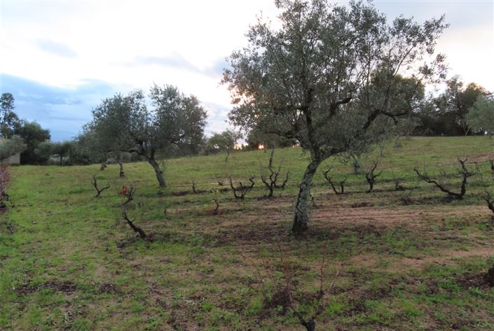 Image No.33-Property for sale