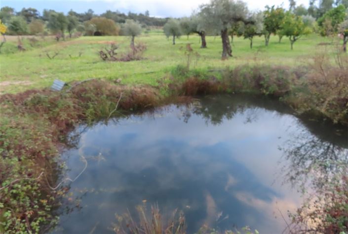 Image No.36-Property for sale