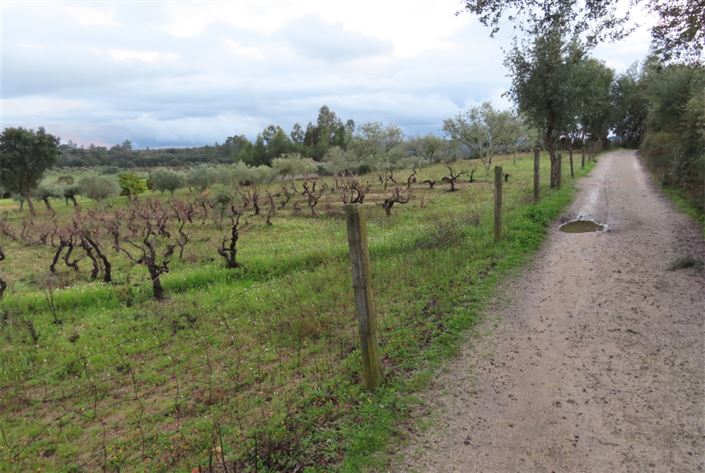 Image No.46-Property for sale