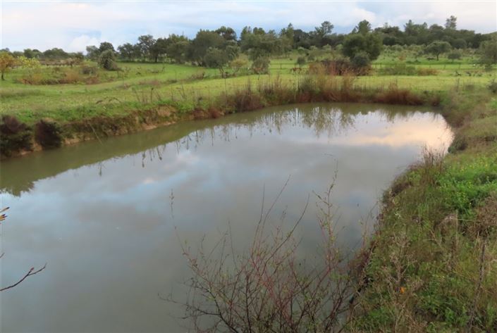 Image No.5-Property for sale