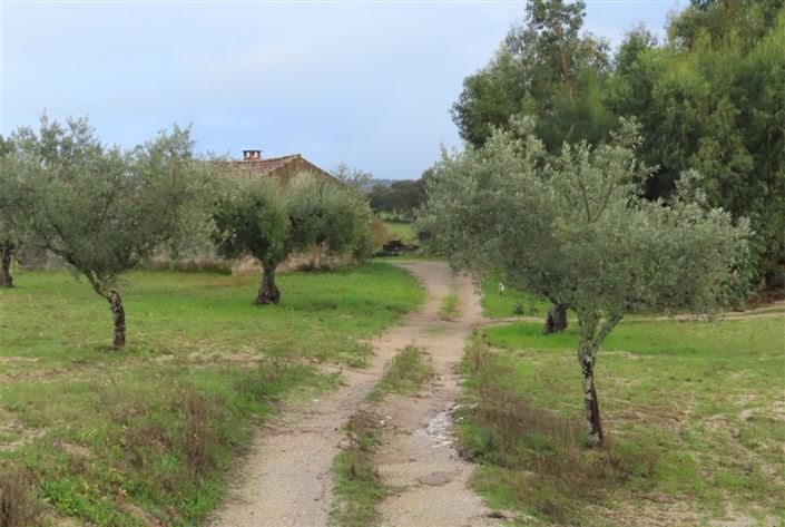 Image No.8-Property for sale