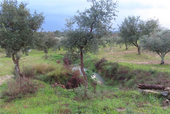 Image No.9-Property for sale