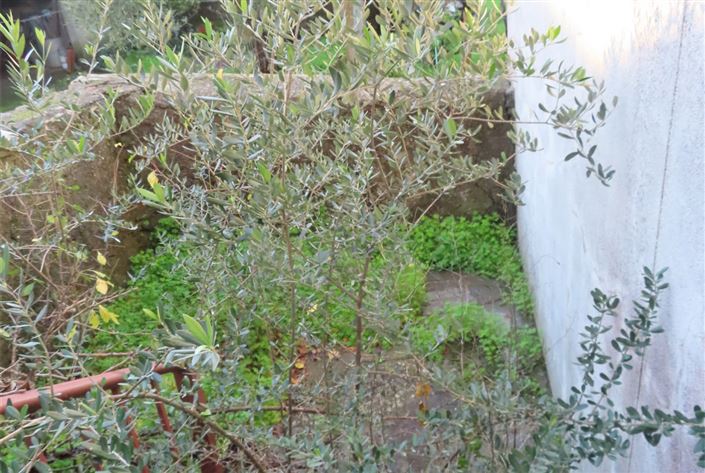 Image No.8-3 Bed Property for sale