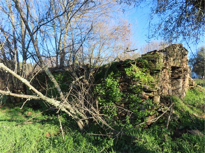 Image No.15-Property for sale