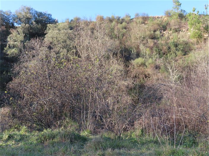 Image No.18-Property for sale