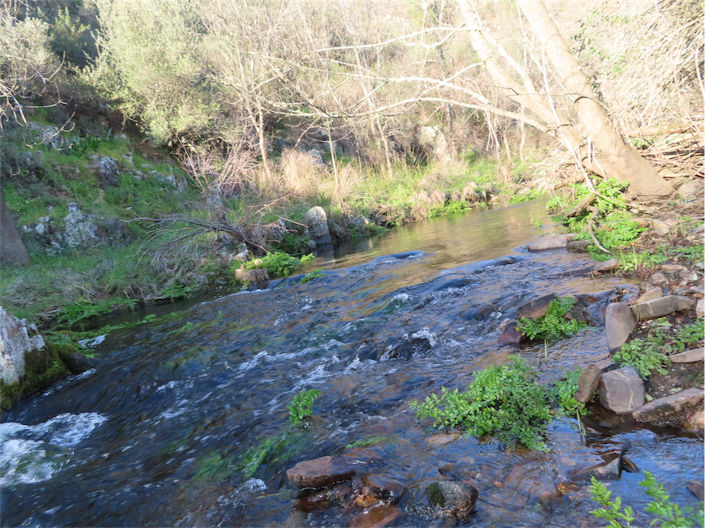 Image No.2-Property for sale