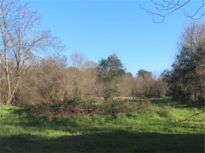 Image No.20-Property for sale