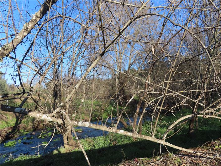 Image No.24-Property for sale