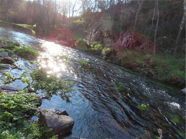 Image No.4-Property for sale