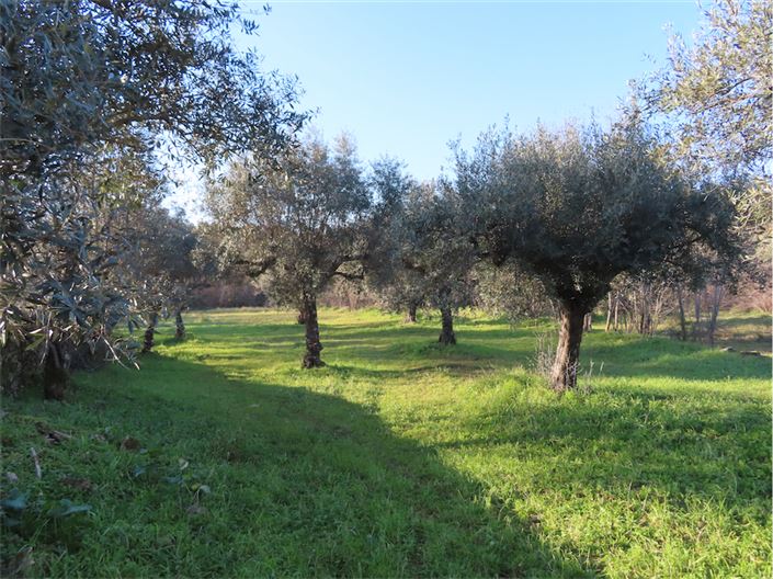 Image No.41-Property for sale