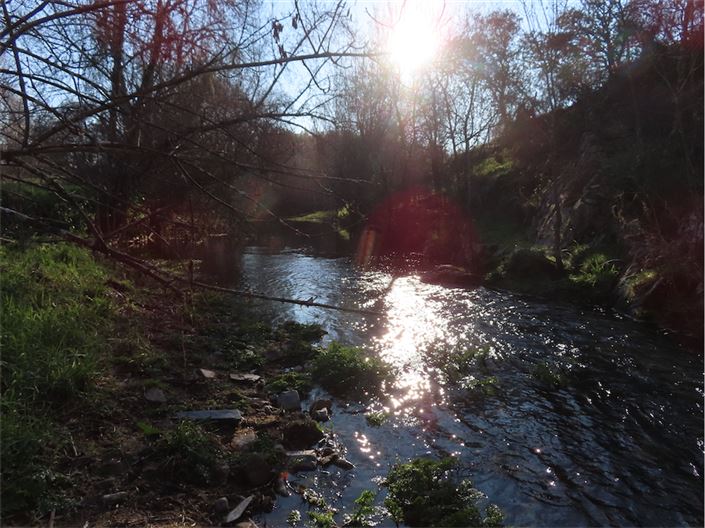 Image No.44-Property for sale