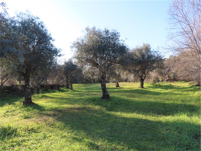 Image No.8-Property for sale