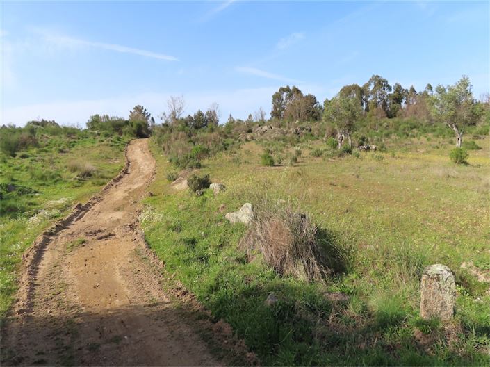 Image No.1-Property for sale