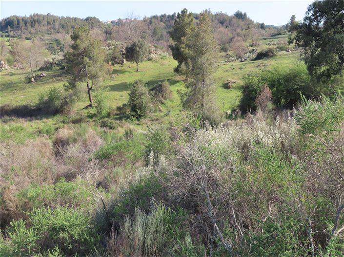 Image No.10-Property for sale