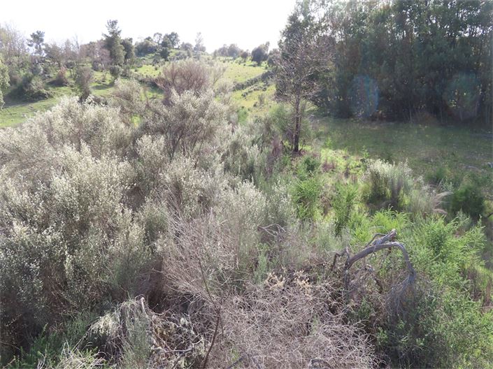 Image No.11-Property for sale