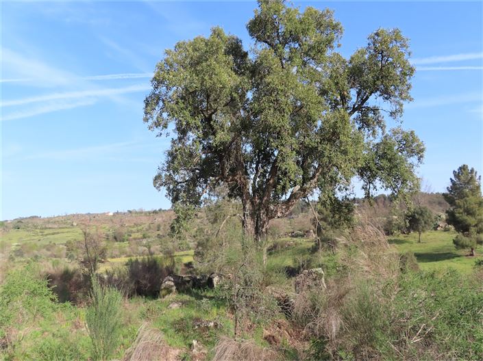 Image No.12-Property for sale