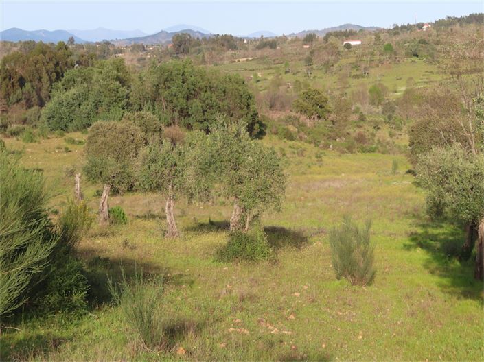 Image No.15-Property for sale