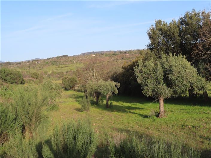 Image No.16-Property for sale