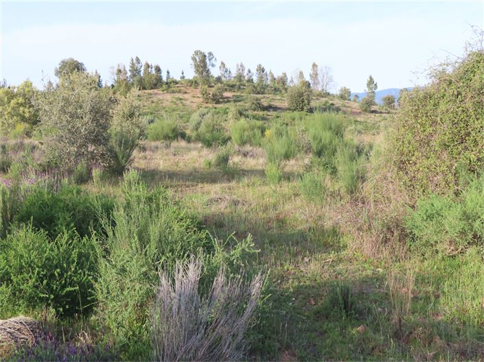 Image No.17-Property for sale