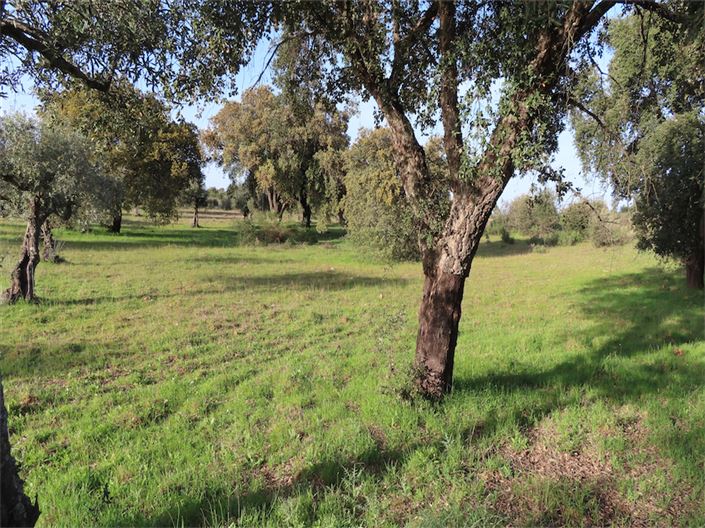 Image No.18-Property for sale