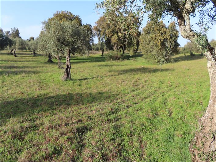 Image No.19-Property for sale