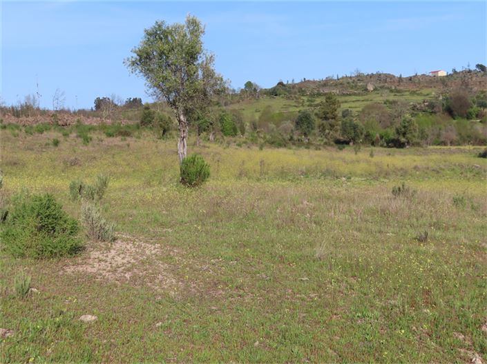 Image No.1-Property for sale